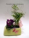 Lotus Aranjamante din plante