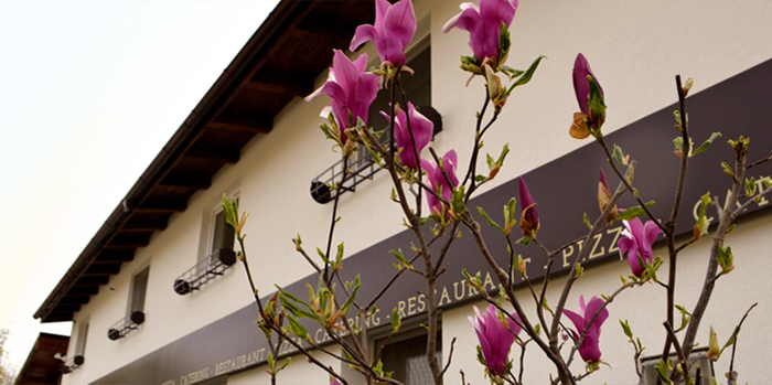 Fotografie Restaurant Gloria din galeria Local