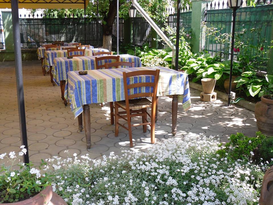 Fotografie Dama Verde din galeria Locație