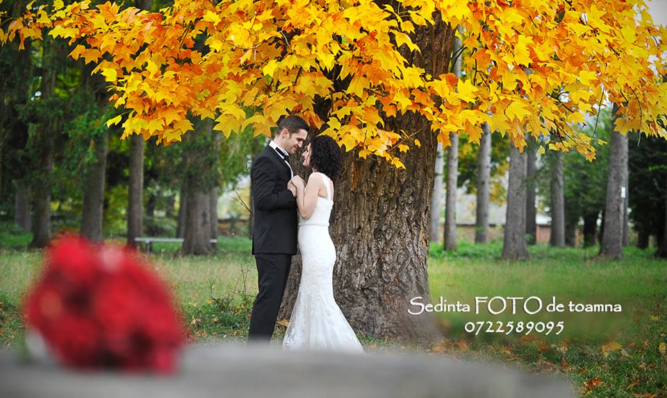 Fotografie Just Image din galeria Wedding