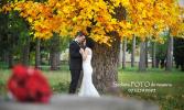 Just Image Wedding