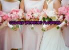 Colors Wedding Flowers Buchete domnișoară onoare