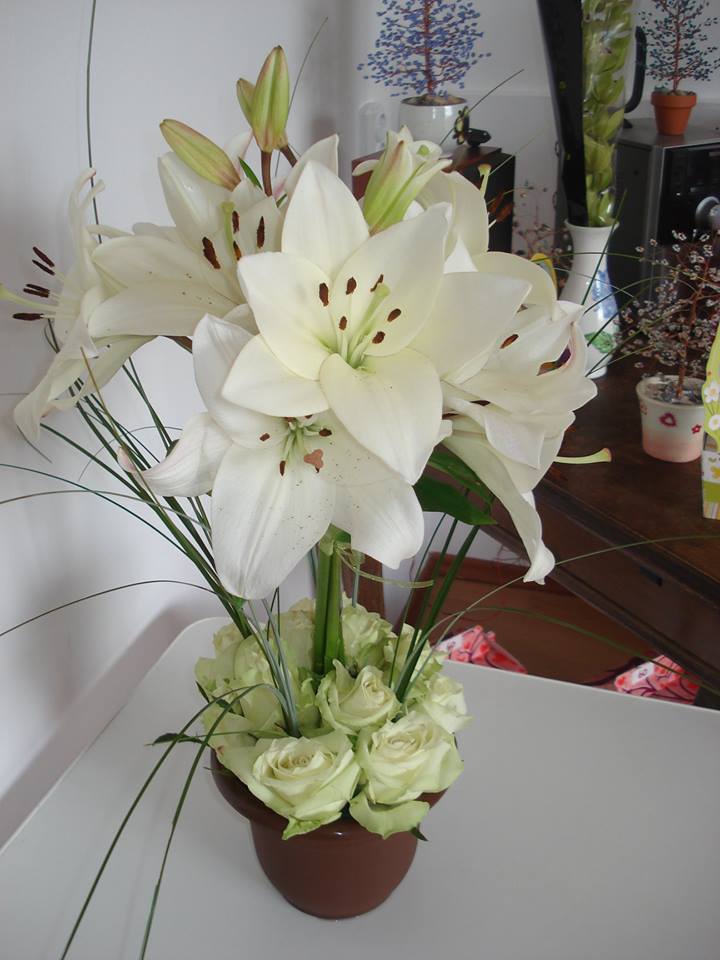 Fotografie Maia Flower Boutique din galeria Aranjamente florale