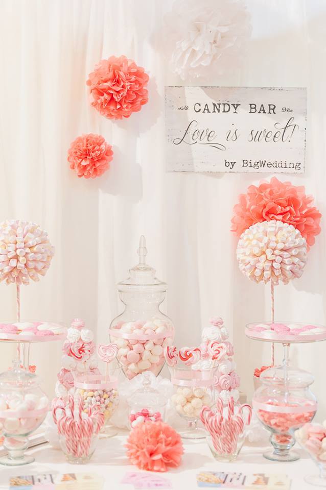 Fotografie Big Wedding  din galeria Candy&Chocolate Bar