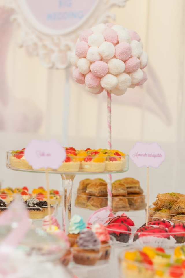 Fotografie Big Wedding  din galeria Candy&Chocolate Bar