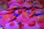 Rossini Candy bar