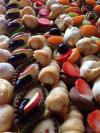 Rossini Diverse