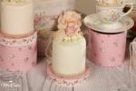 MissCake Minicakes