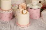 MissCake Minicakes