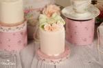 MissCake Minicakes