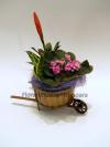 Lotus Aranjamante din plante