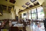 Fenice Palas Local