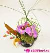 123Flori.ro Aranjamente florale