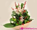123Flori.ro Aranjamente florale