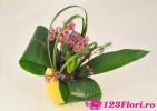 123Flori.ro Aranjamente florale