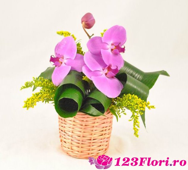 Fotografie 123Flori.ro din galeria Aranjamente florale