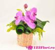 123Flori.ro Aranjamente florale