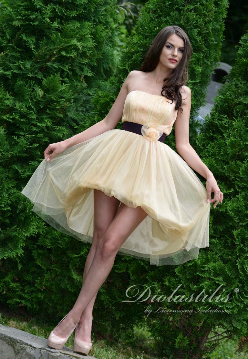 Fotografie Diolastilis din galeria Colecţia Sofisticat