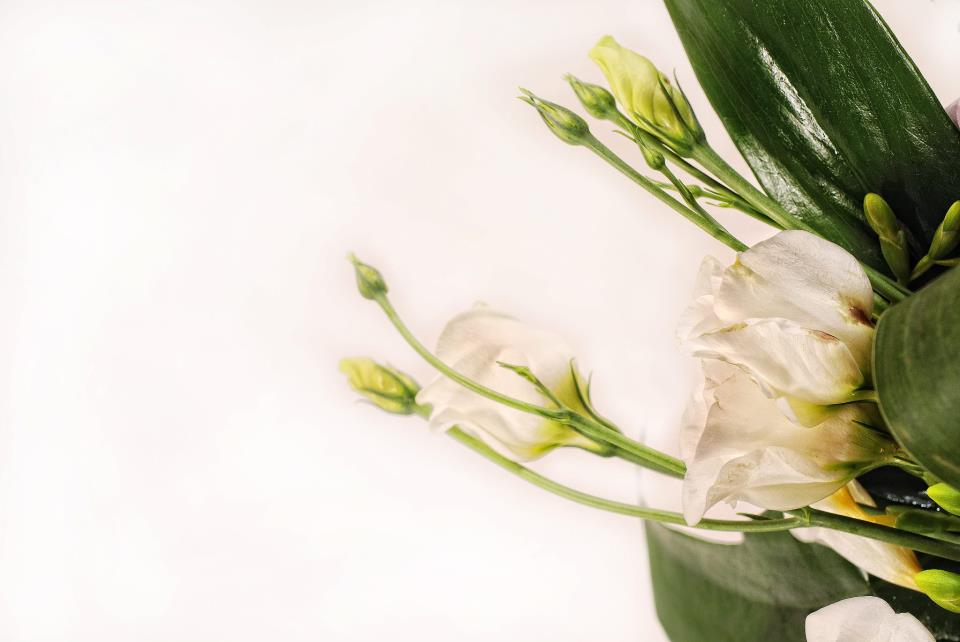 Fotografie Casa cu Flori din galeria Aranjamente florale