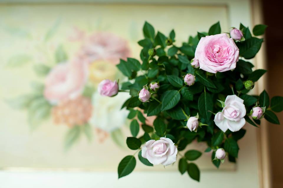 Fotografie Casa cu Flori din galeria Aranjamente florale