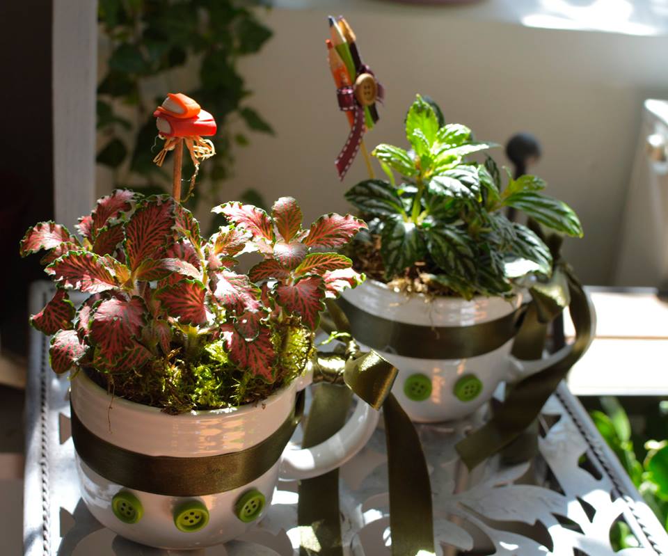 Fotografie Casa cu Flori din galeria Aranjamente florale