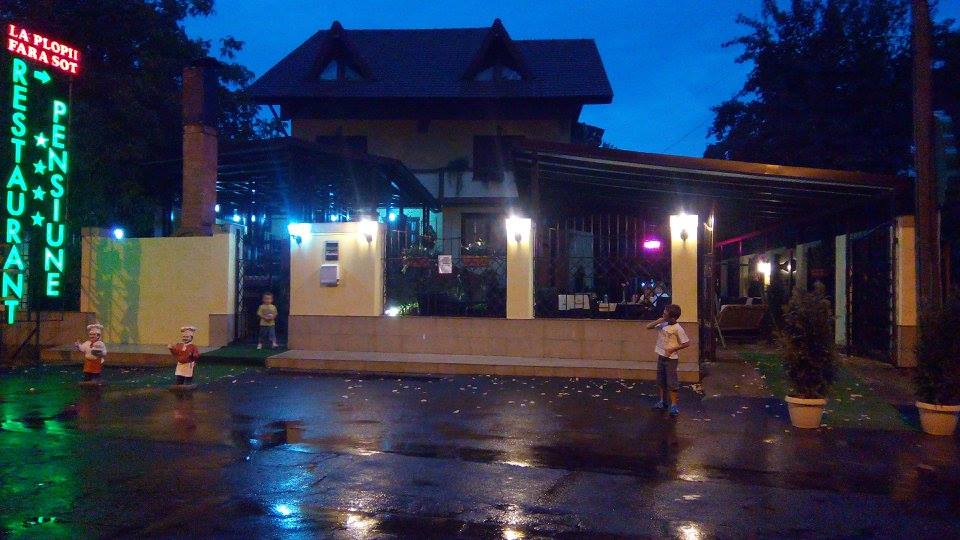 Fotografie Plopii Fără Soț din galeria Evenimente