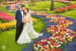 Alex Bunea Weddings