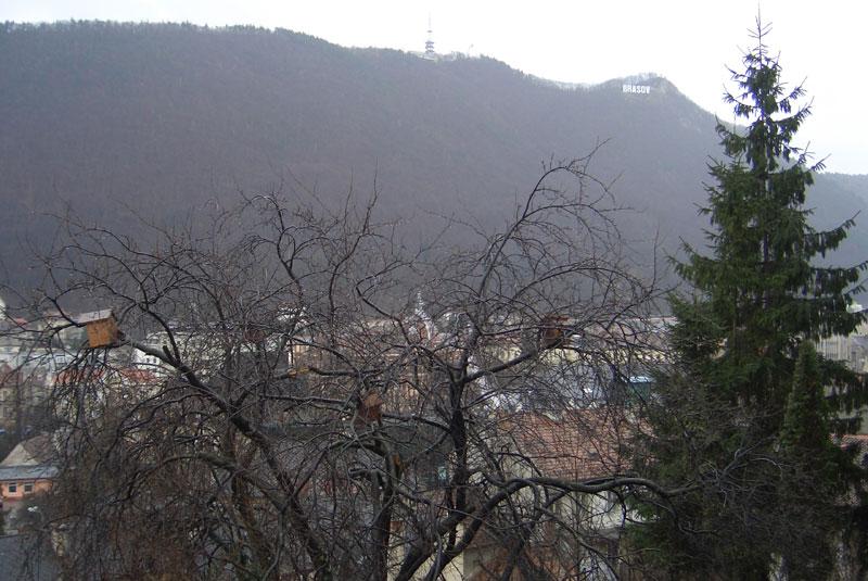 Fotografie Casa Cranța din galeria Panoramă