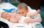 Like An Image Botez