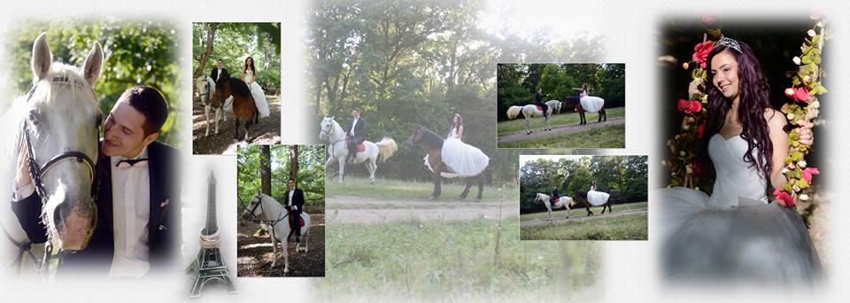 Fotografie Servicii foto din galeria Nuntă