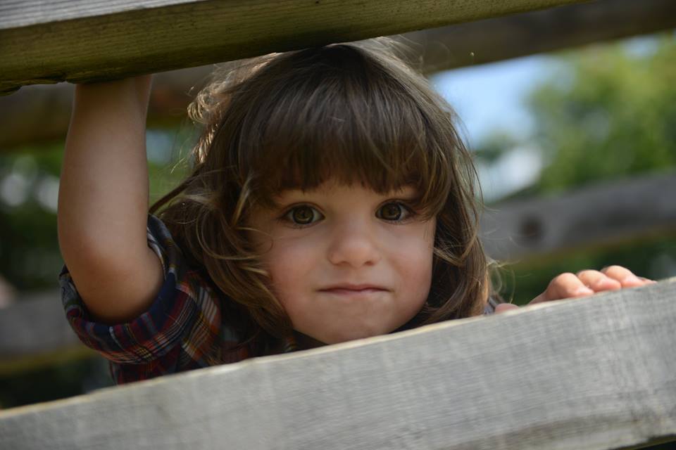Fotografie Servicii foto din galeria Îngerași