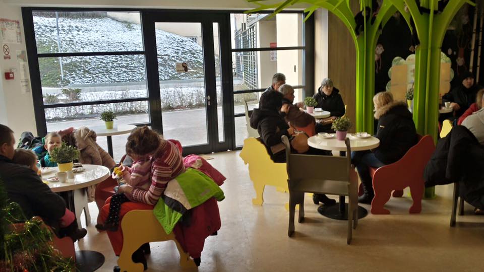 Fotografie Zoofetăria din galeria Zoofeteria